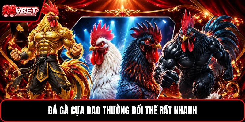Đá gà cựa dao thường đổi thế rất nhanh