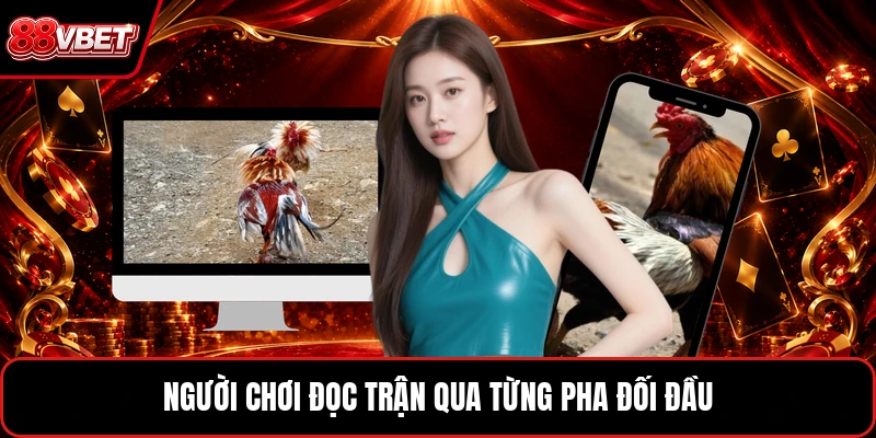 Người chơi theo dõi nhịp đá gà 88VBET