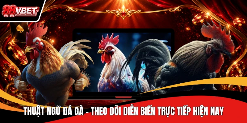 Thuật Ngữ Đá Gà